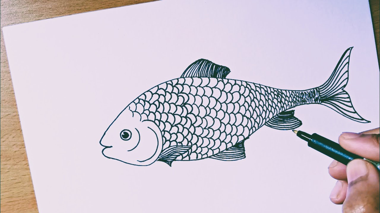 Fish Drawing